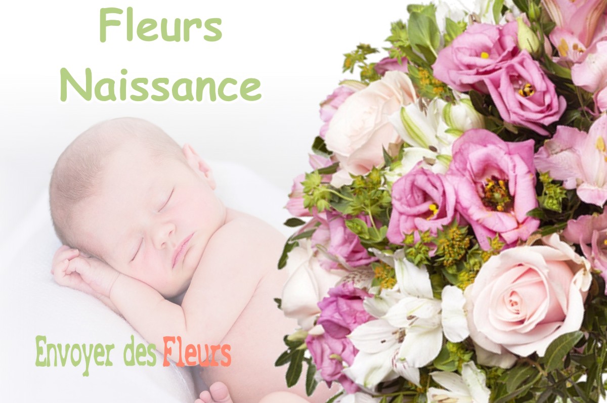 lIVRAISON FLEURS NAISSANCE à PONTONX-SUR-L-ADOUR